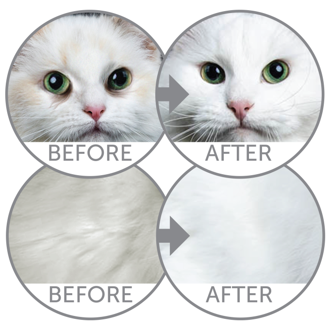 White Cats Grain Free Herring Adult All Breeds dry grain free pet food with herring for adult all breed cats with white coat